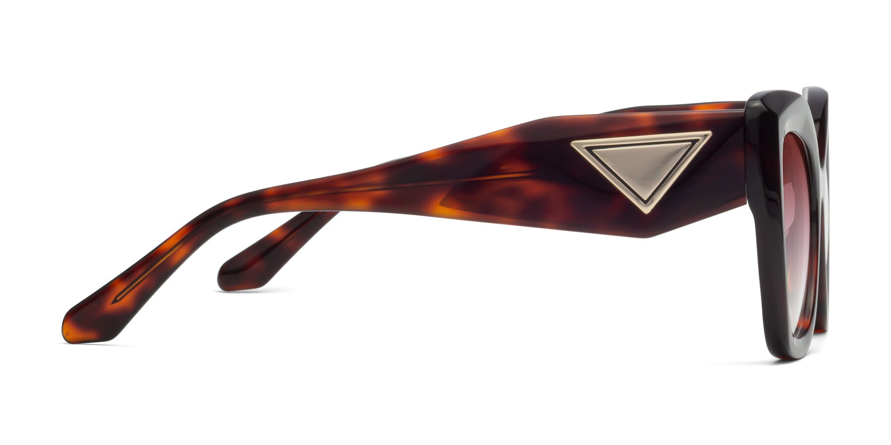 Side of Riffe in Tortoise with Garnet Gradient Lenses