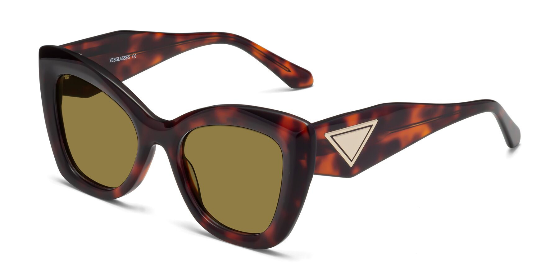 Angle of Riffe in Tortoise with Brown Polarized Lenses