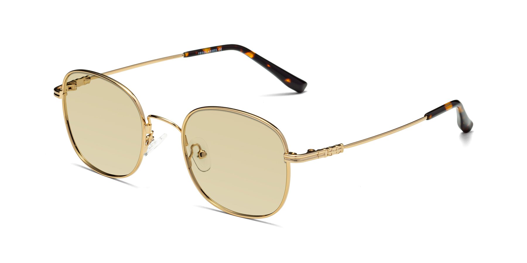 Angle of Roots in Gold with Light Champagne Tinted Lenses