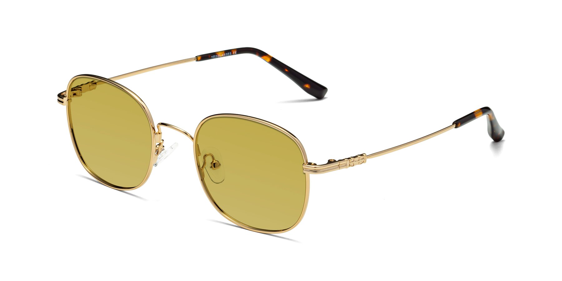 Angle of Roots in Gold with Champagne Tinted Lenses