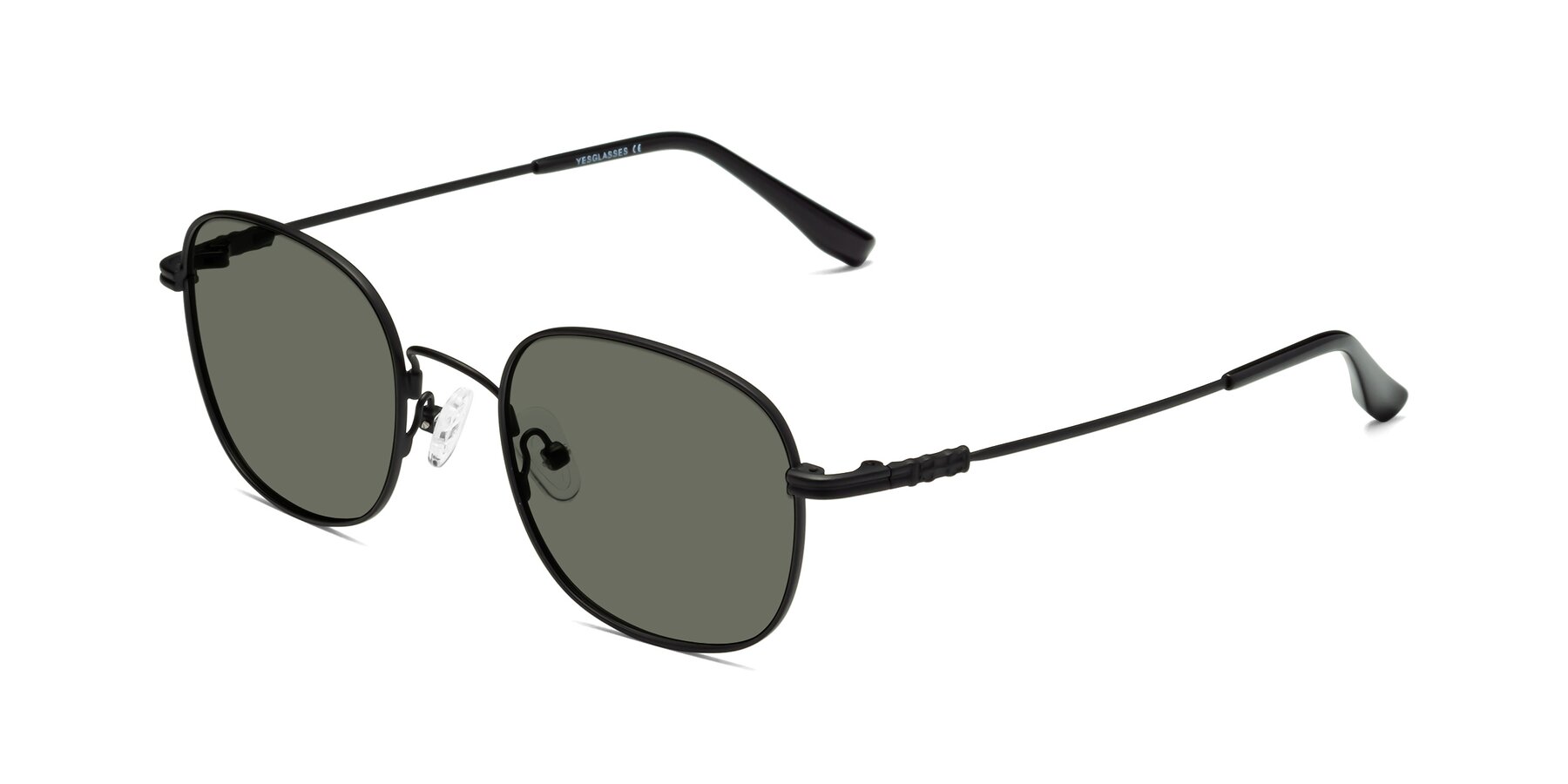 Angle of Roots in Black with Gray Polarized Lenses