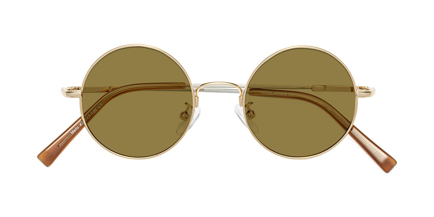 Melo - Gold Polarized Sunglasses