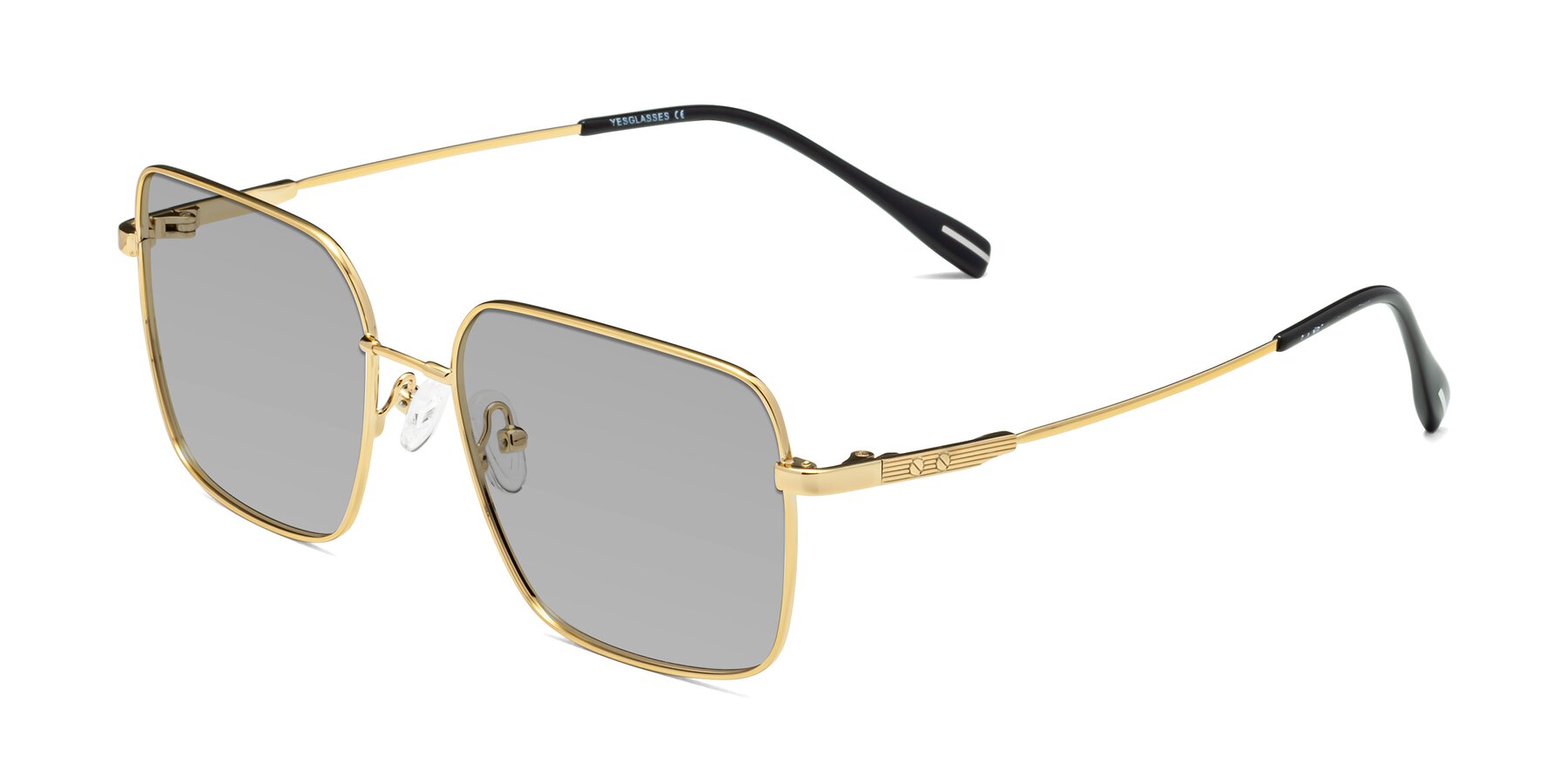 Angle of Ganus in Gold with Light Gray Tinted Lenses
