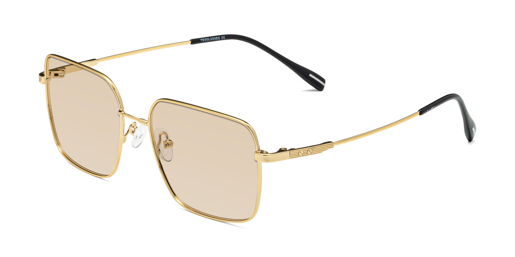 Angle of Ganus in Gold with Light Brown Tinted Lenses