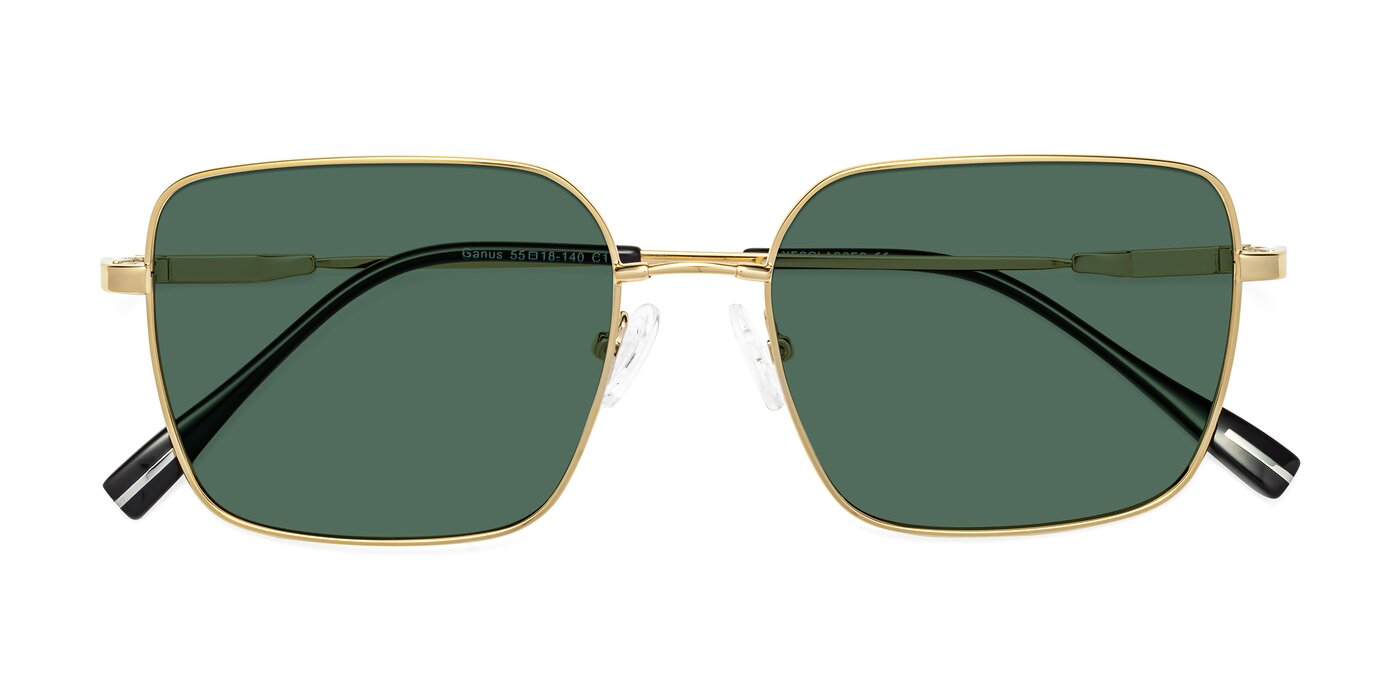 Ganus - Gold Polarized Sunglasses