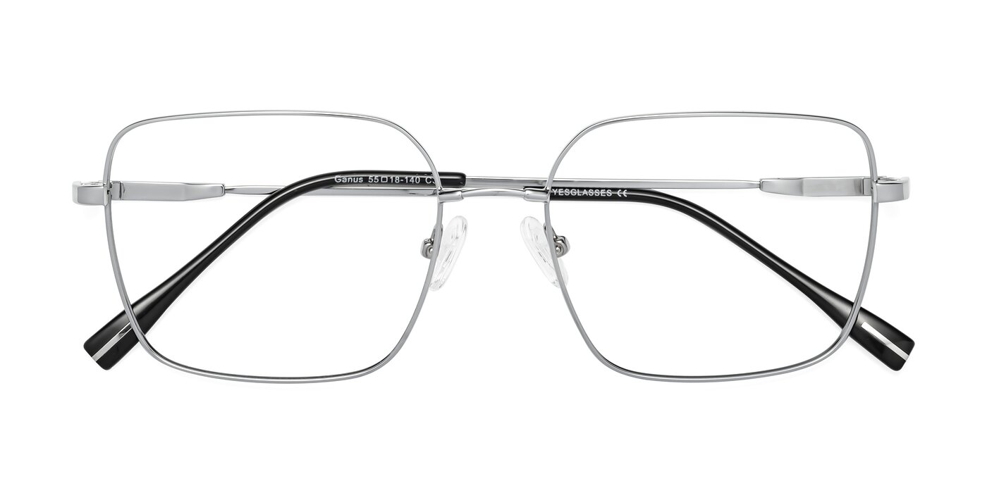 Ganus - Silver Eyeglasses
