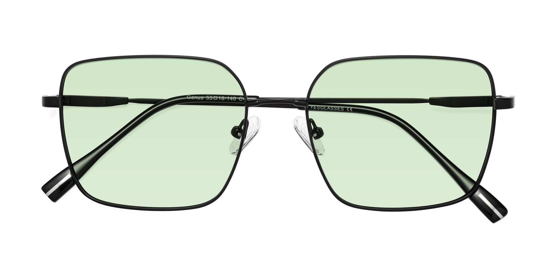 Folded Front of Ganus in Black with Light Green Tinted Lenses