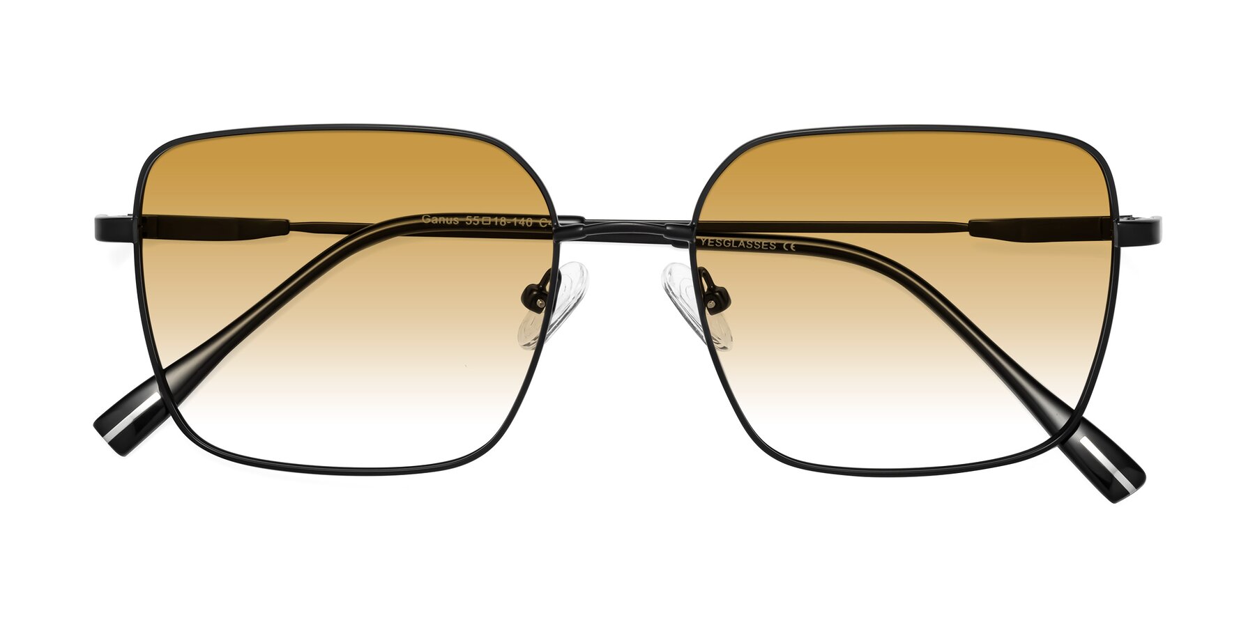 Folded Front of Ganus in Black with Champagne Gradient Lenses
