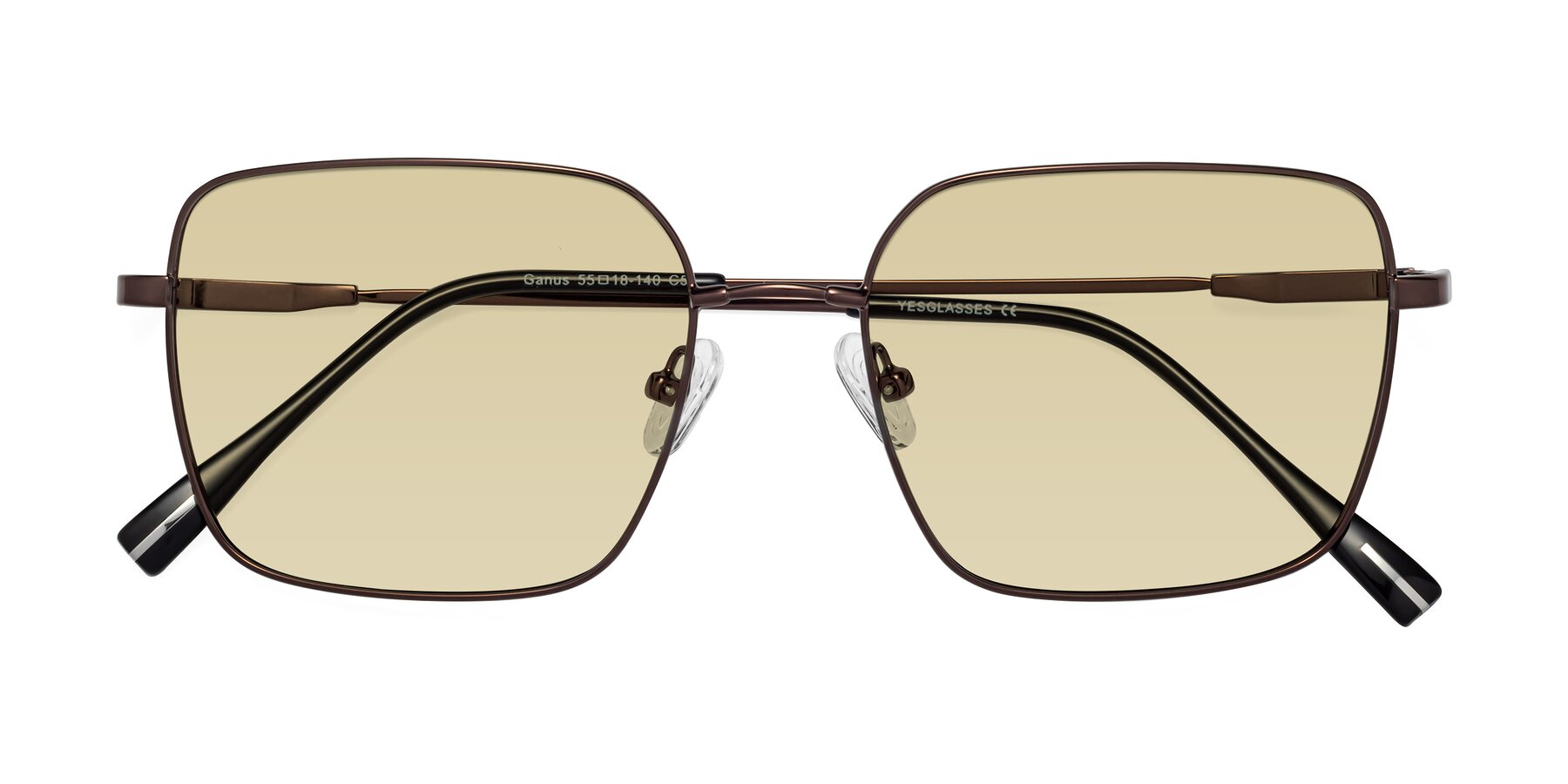 Folded Front of Ganus in Coffee with Light Champagne Tinted Lenses