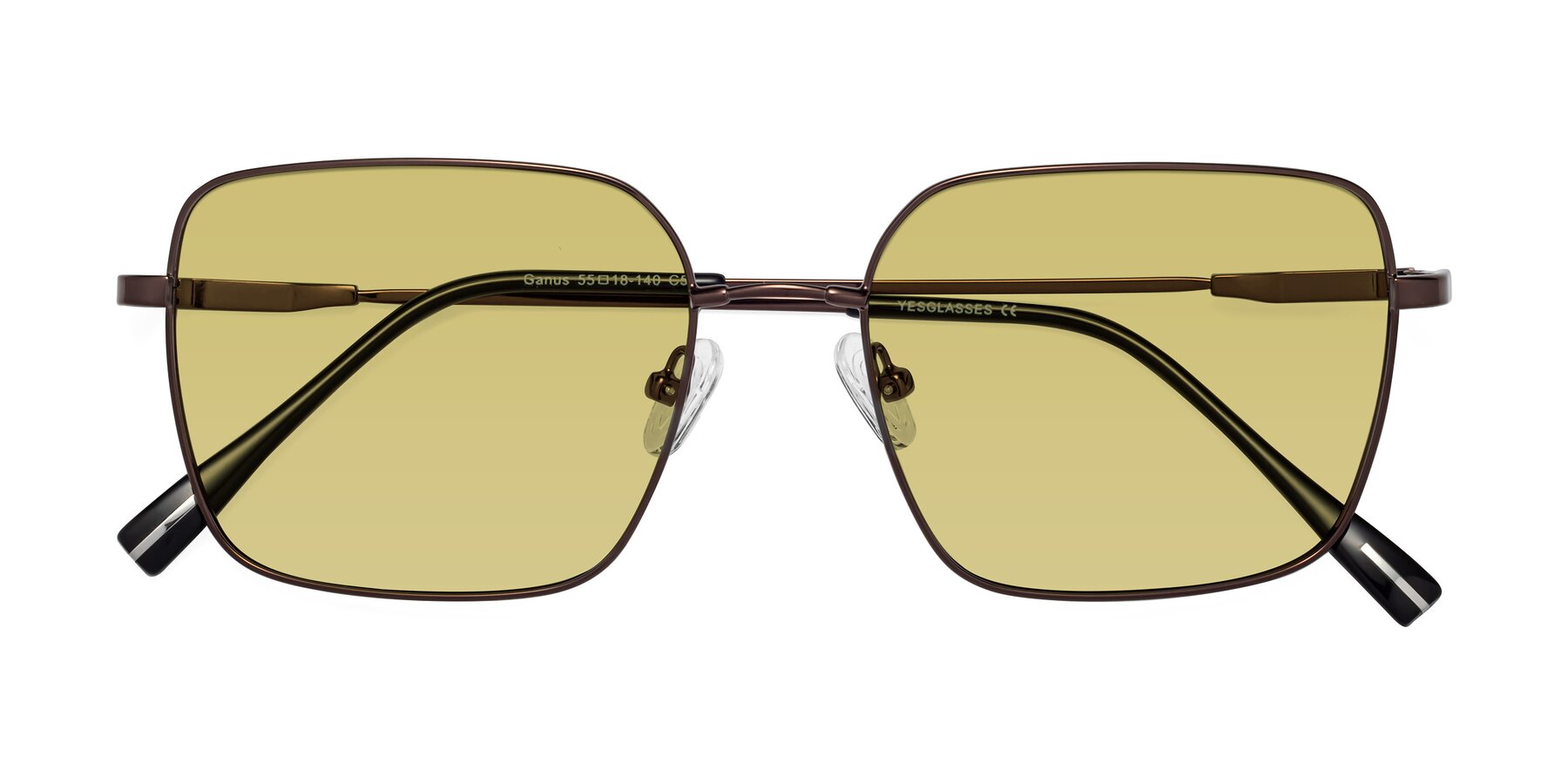 Folded Front of Ganus in Coffee with Medium Champagne Tinted Lenses