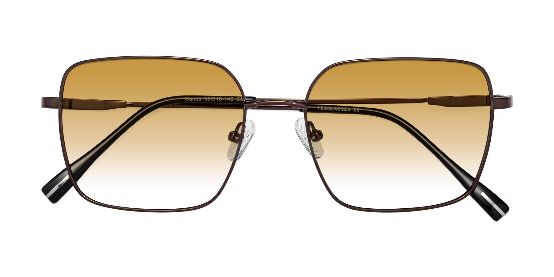 Folded Front of Ganus in Coffee with Champagne Gradient Lenses