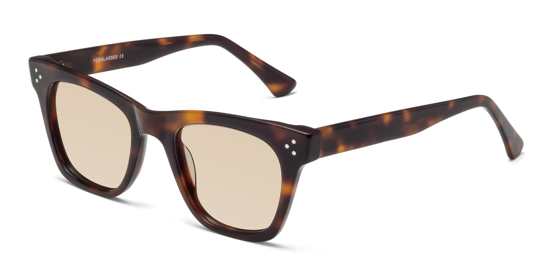 Angle of Soza in Tortoise with Light Brown Tinted Lenses