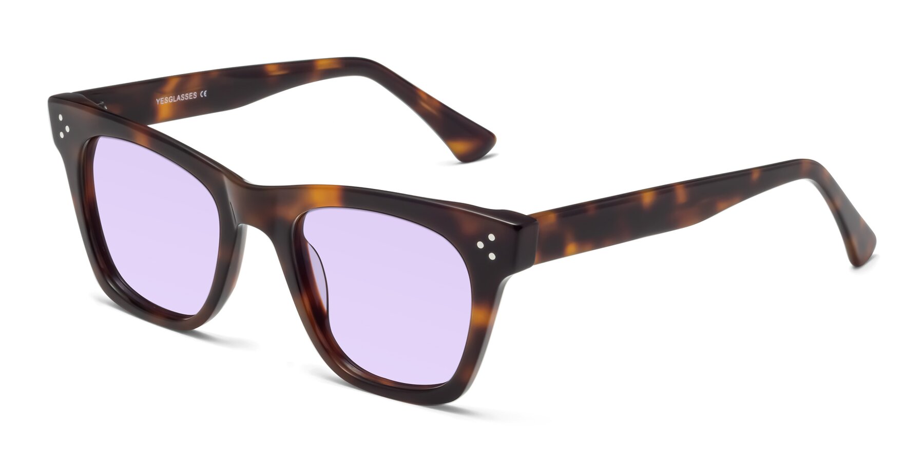 Angle of Soza in Tortoise with Light Purple Tinted Lenses
