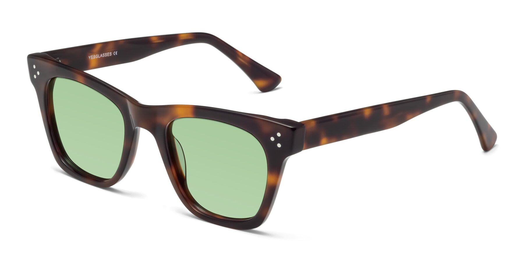 Angle of Soza in Tortoise with Medium Green Tinted Lenses