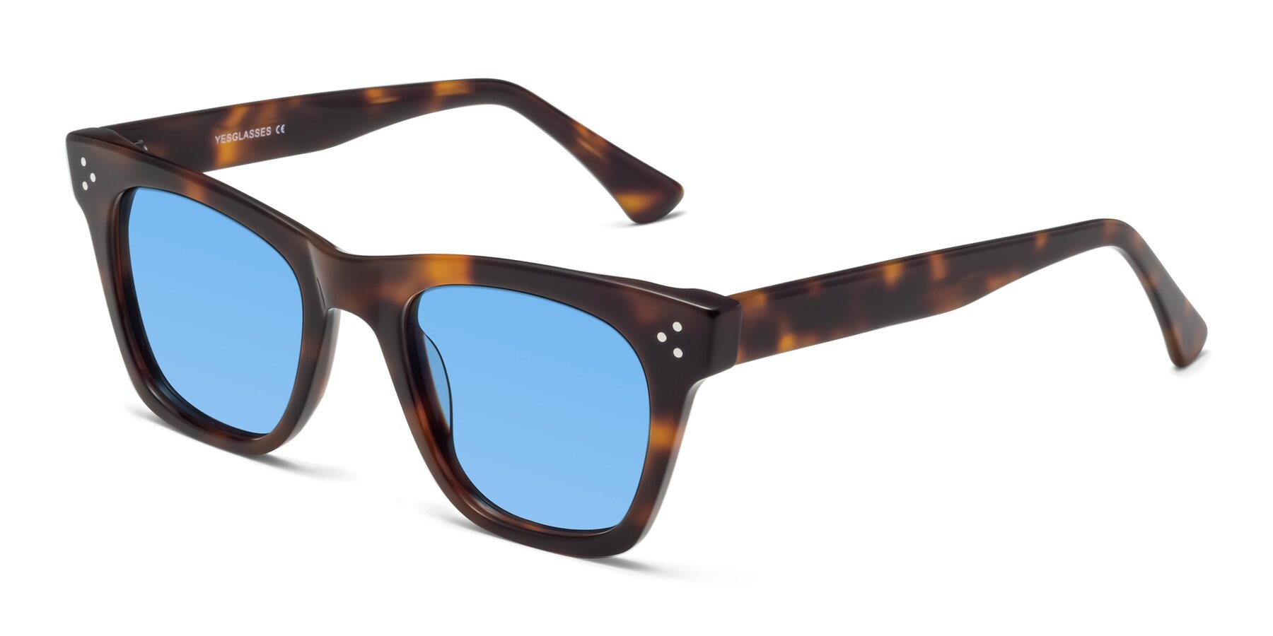 Angle of Soza in Tortoise with Medium Blue Tinted Lenses