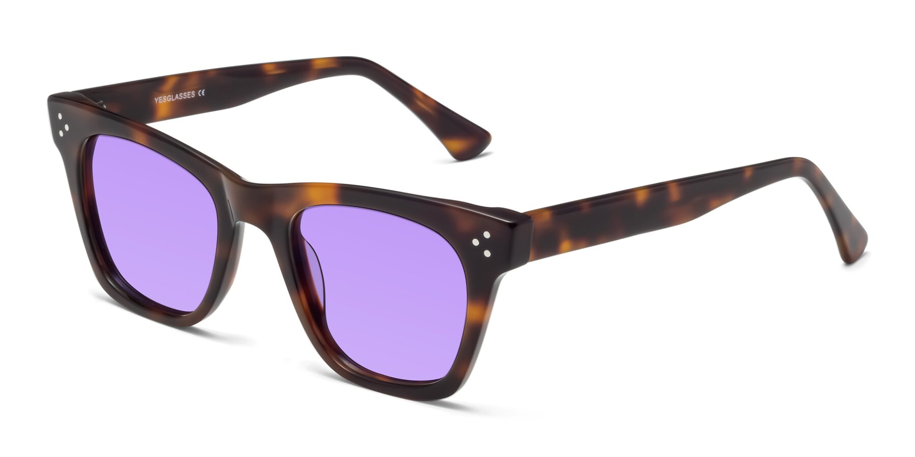 Angle of Soza in Tortoise with Medium Purple Tinted Lenses