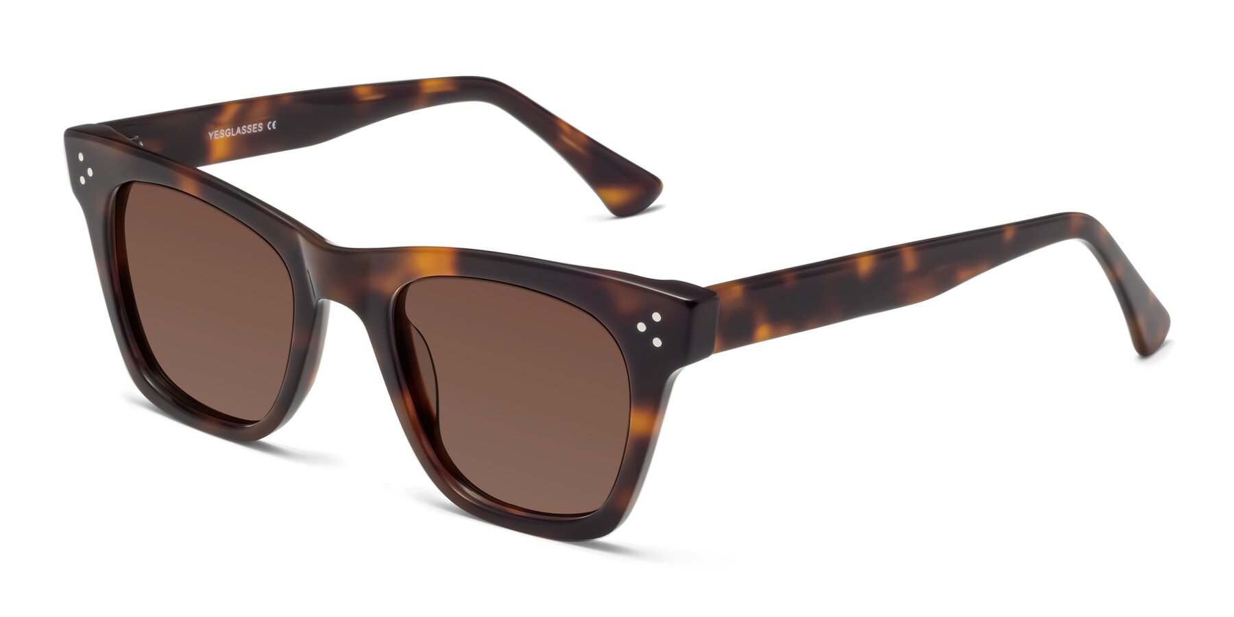Angle of Soza in Tortoise with Brown Tinted Lenses