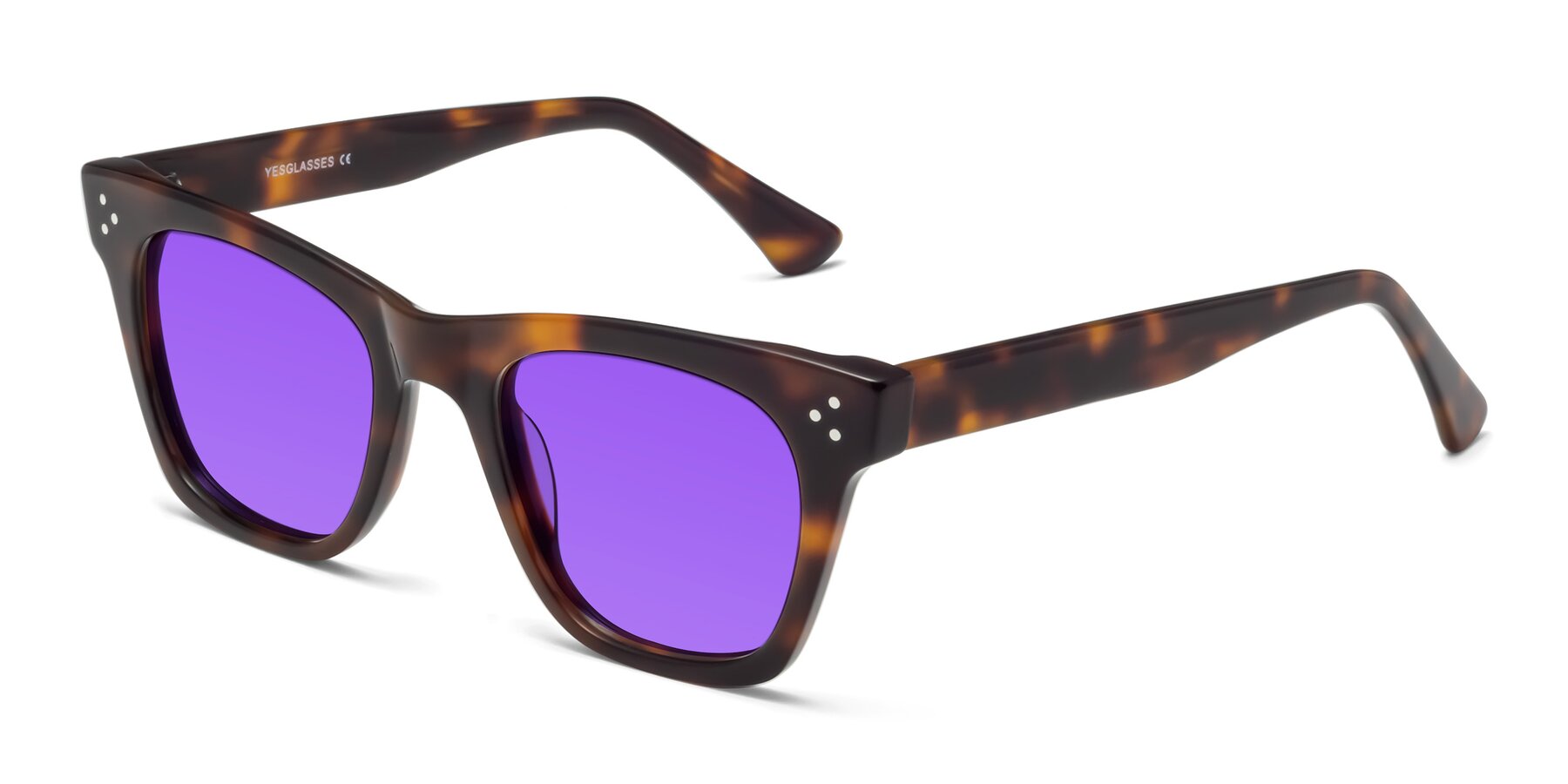 Angle of Soza in Tortoise with Purple Tinted Lenses