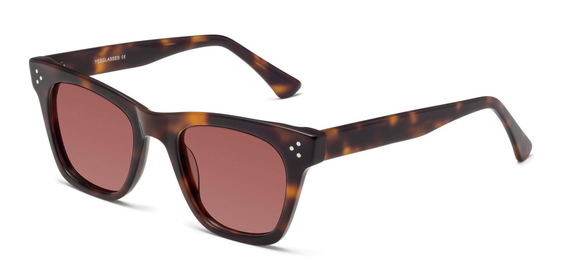 Angle of Soza in Tortoise with Garnet Tinted Lenses