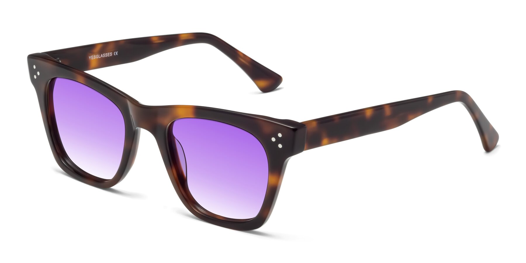 Angle of Soza in Tortoise with Purple Gradient Lenses