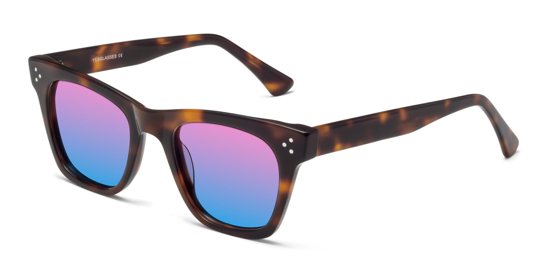 Angle of Soza in Tortoise with Pink / Blue Gradient Lenses