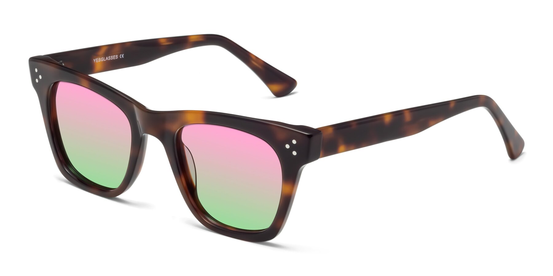 Angle of Soza in Tortoise with Pink / Green Gradient Lenses