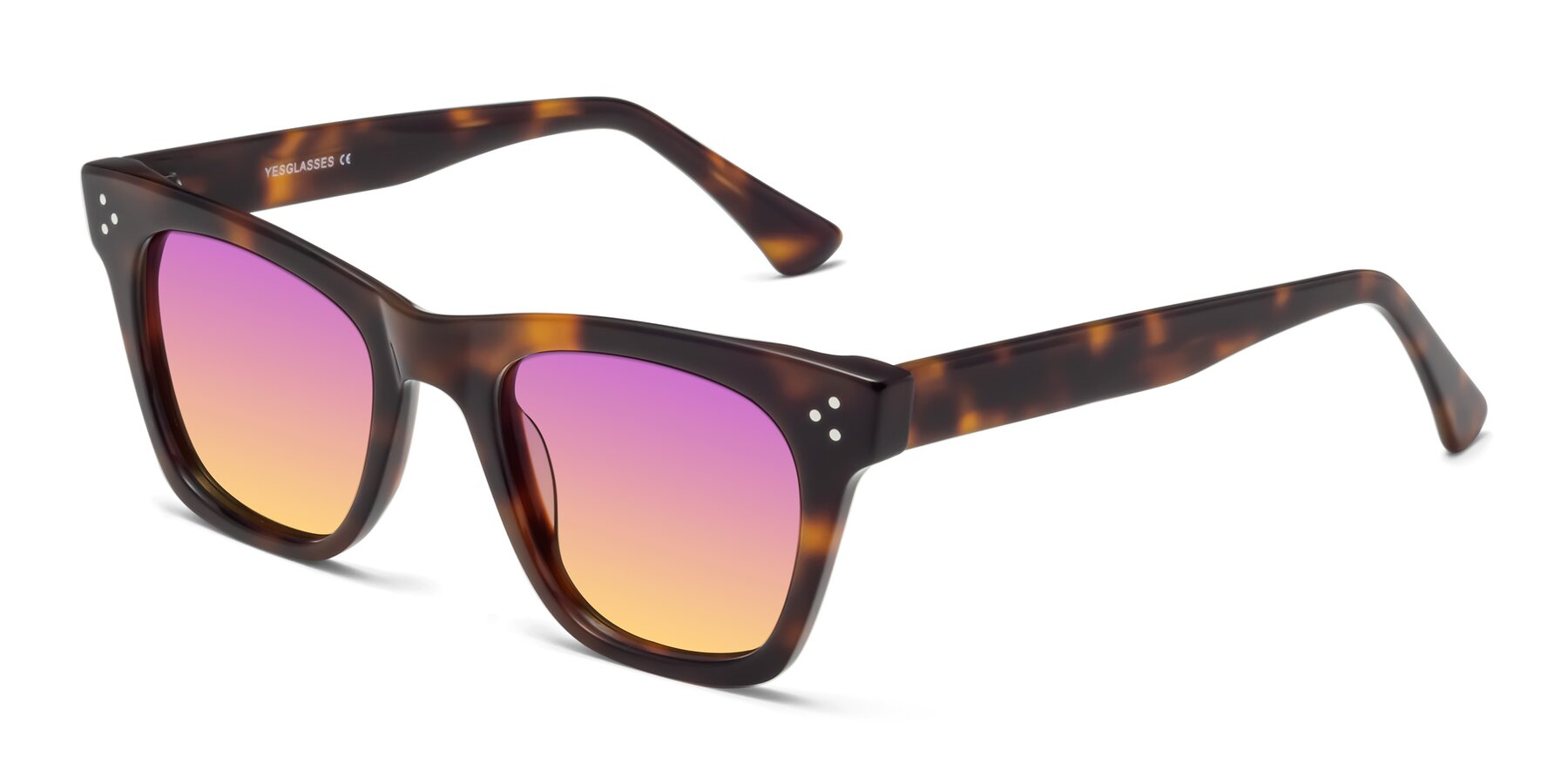 Angle of Soza in Tortoise with Purple / Yellow Gradient Lenses