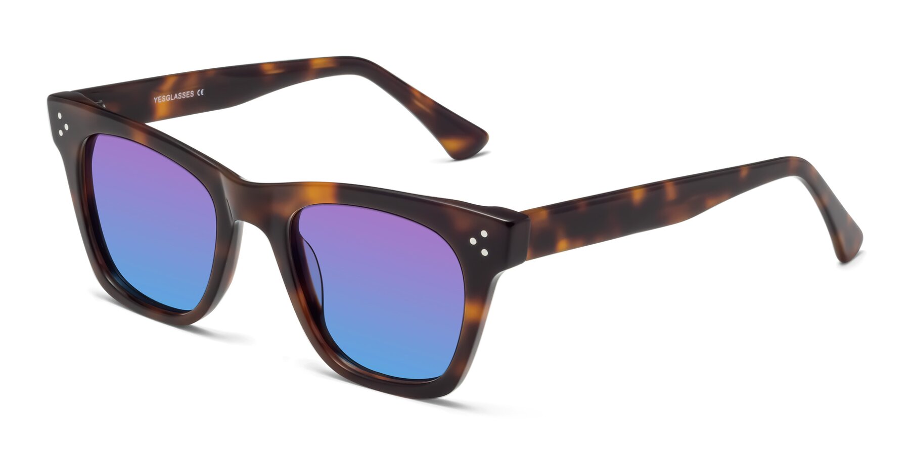 Angle of Soza in Tortoise with Purple / Blue Gradient Lenses