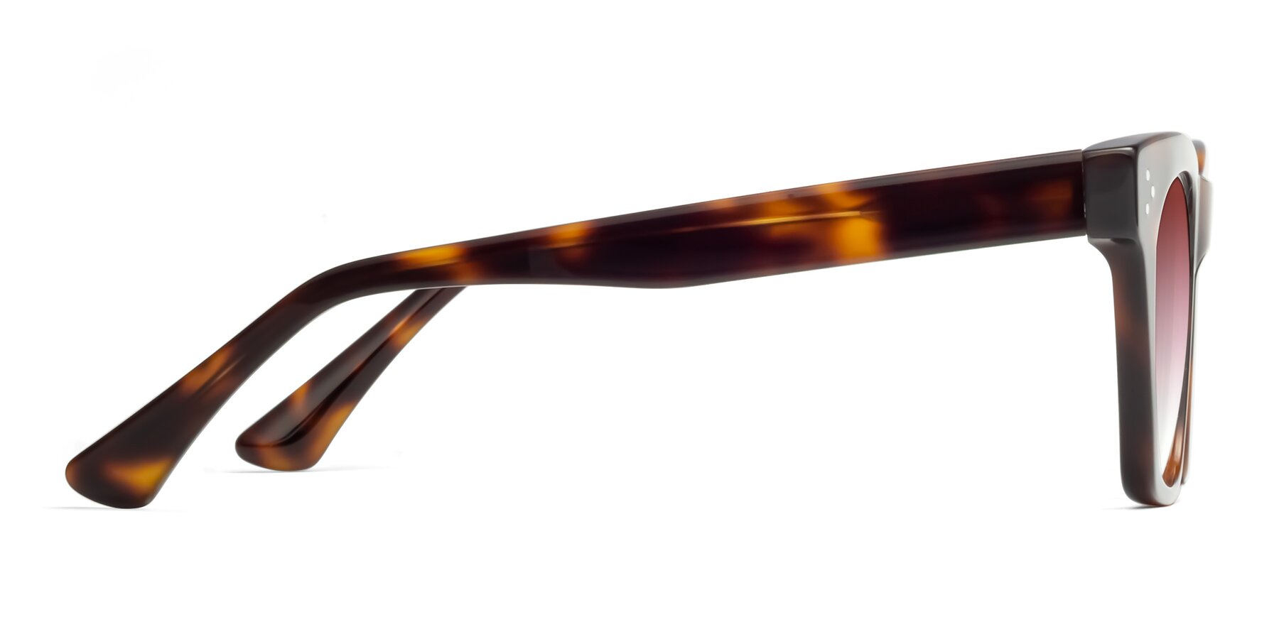 Side of Soza in Tortoise with Garnet Gradient Lenses