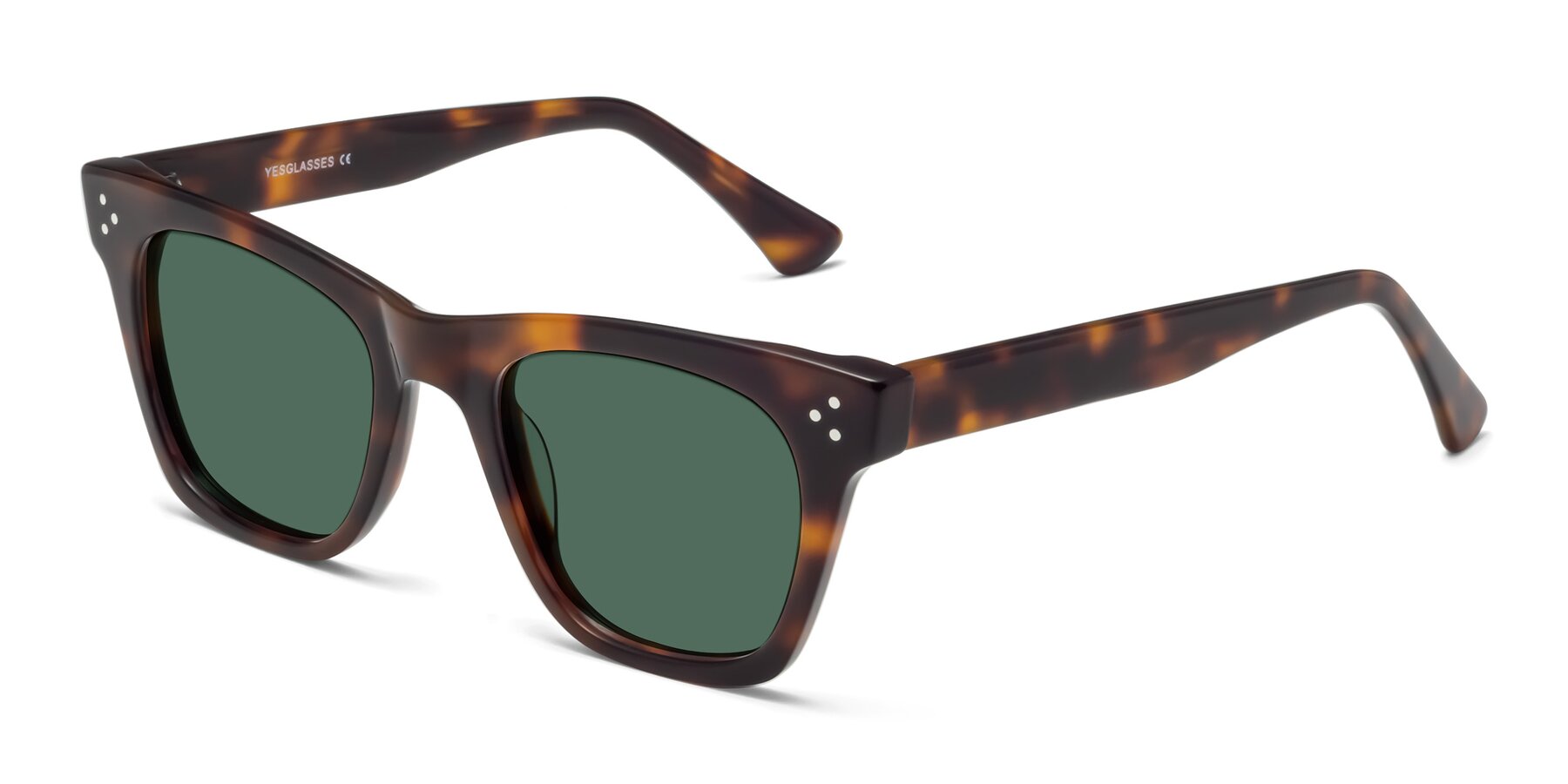Angle of Soza in Tortoise with Green Polarized Lenses