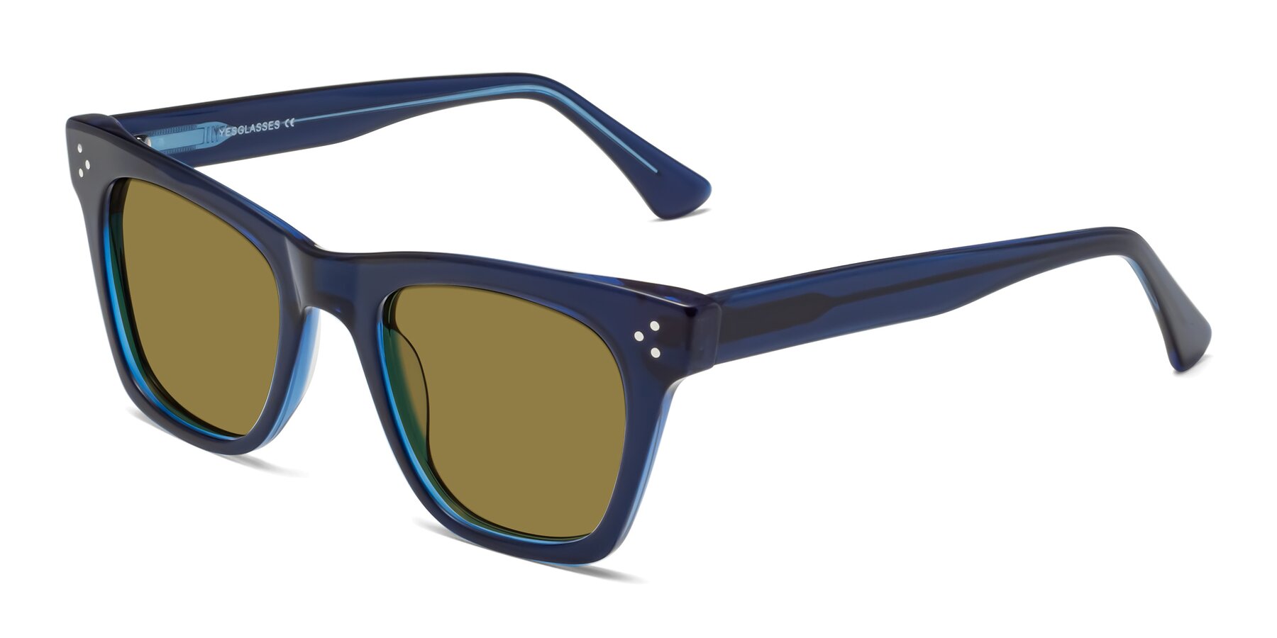 Angle of Soza in Blue with Brown Polarized Lenses