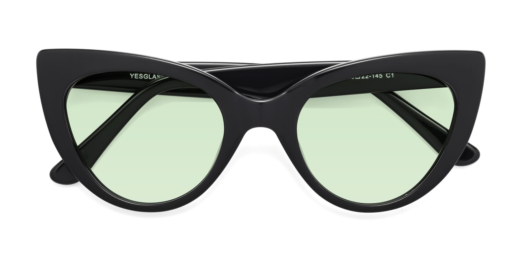 Folded Front of Tiesi in Black with Light Green Tinted Lenses