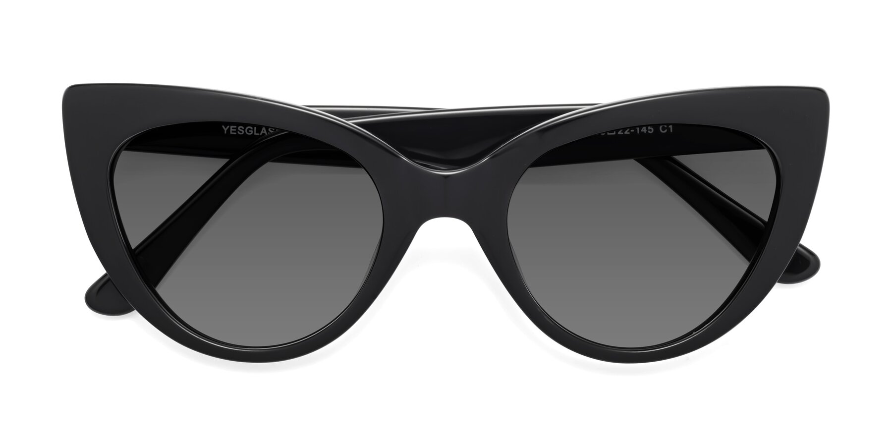 Folded Front of Tiesi in Black with Medium Gray Tinted Lenses