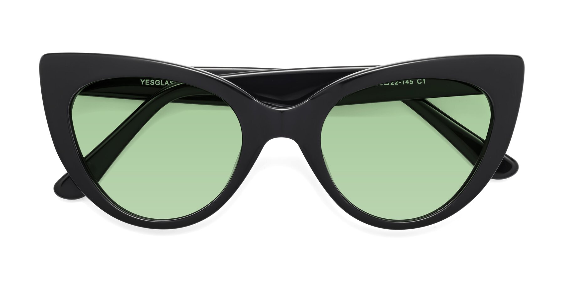 Folded Front of Tiesi in Black with Medium Green Tinted Lenses