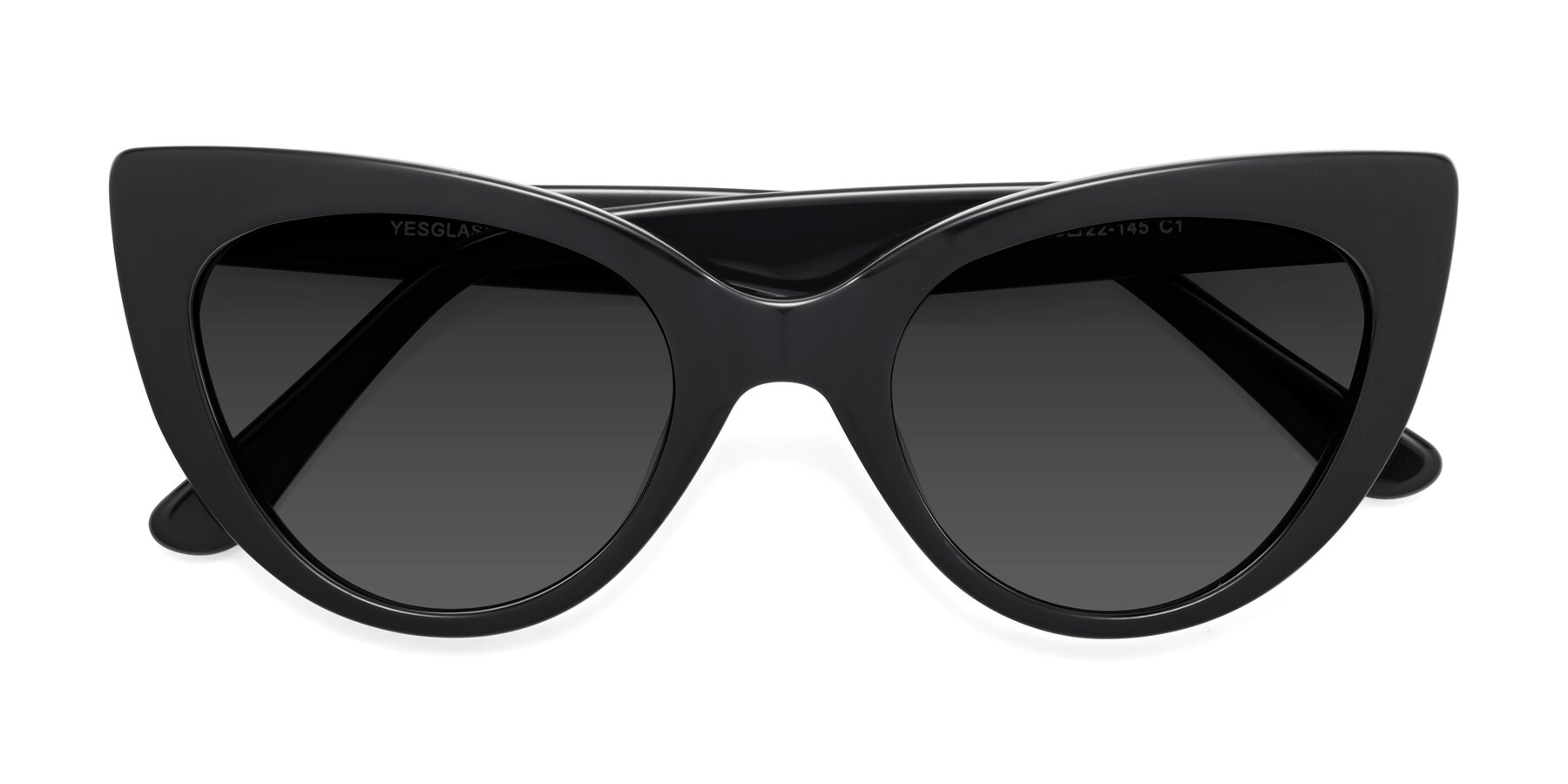 Folded Front of Tiesi in Black with Gray Tinted Lenses