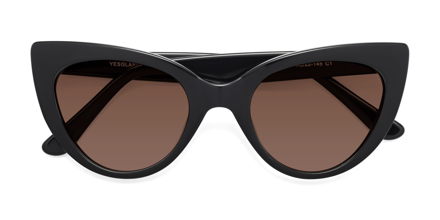 Folded Front of Tiesi in Black with Brown Tinted Lenses