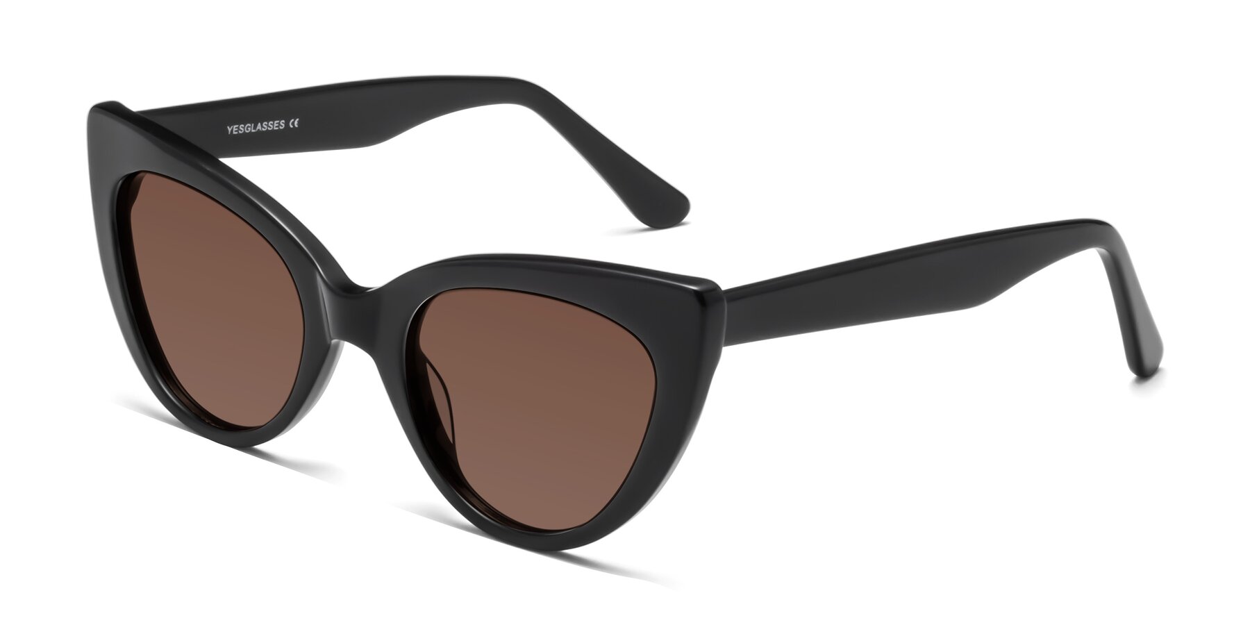 Angle of Tiesi in Black with Brown Tinted Lenses
