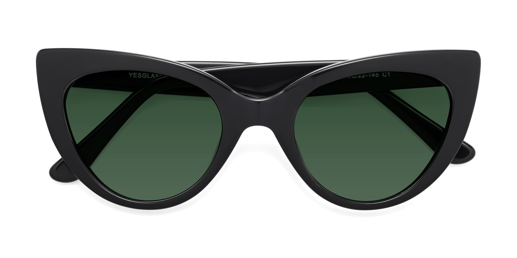 Folded Front of Tiesi in Black with Green Tinted Lenses