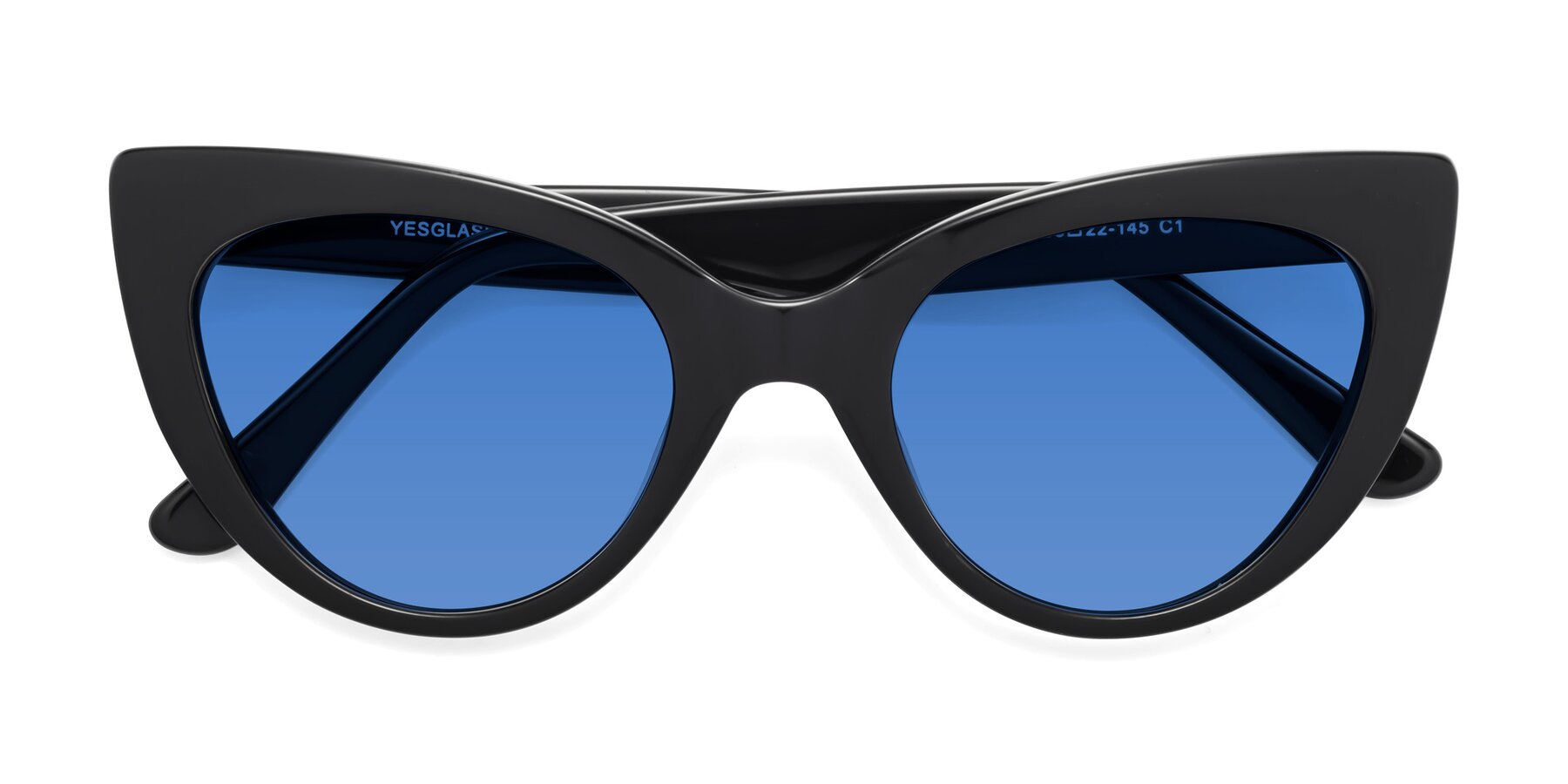 Folded Front of Tiesi in Black with Blue Tinted Lenses