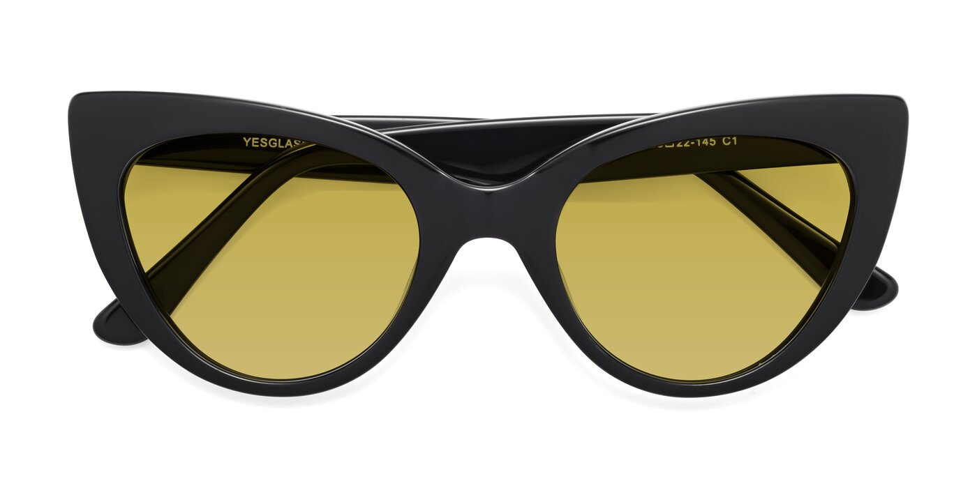Tiesi - Black Tinted Sunglasses
