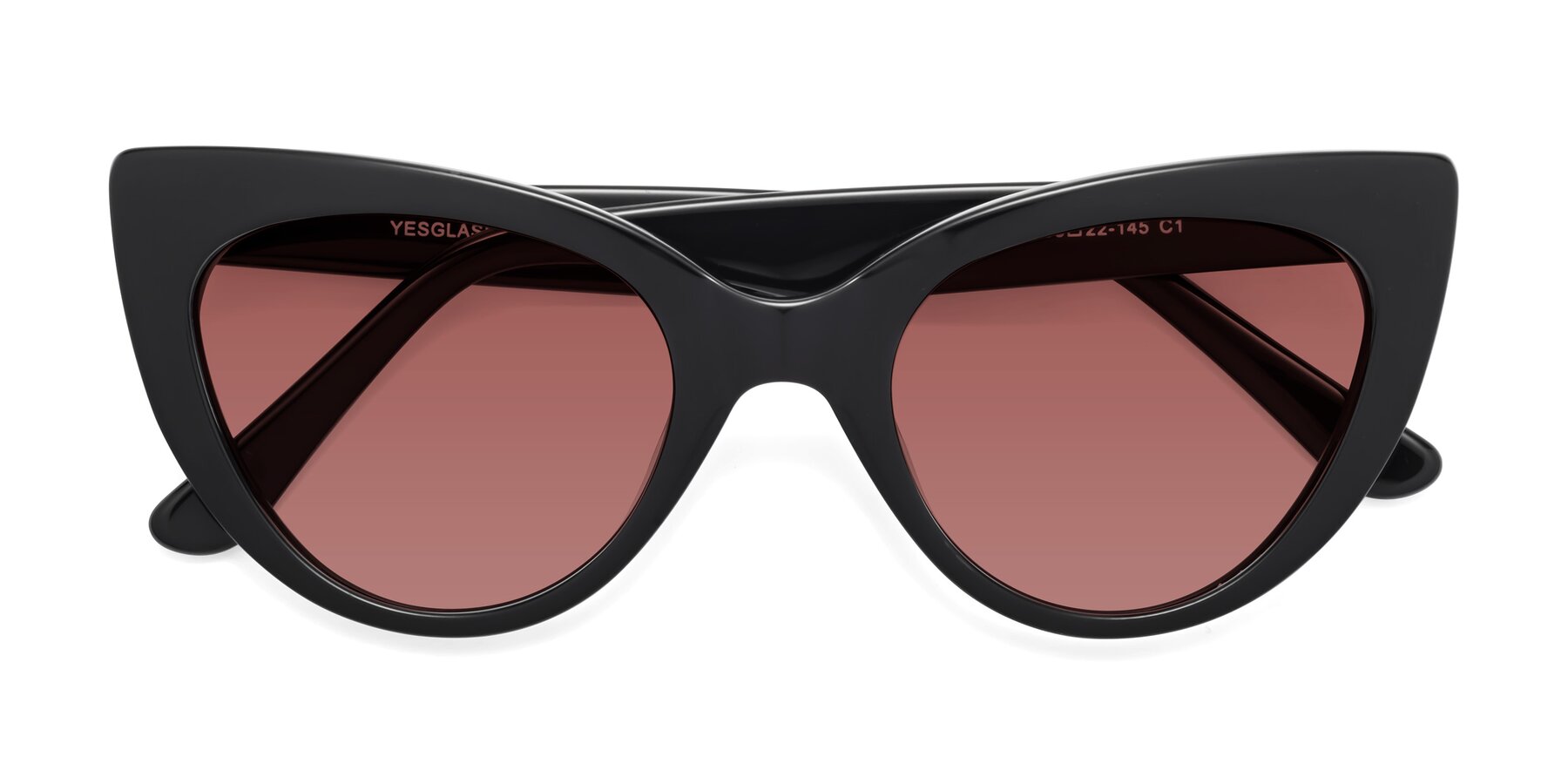 Folded Front of Tiesi in Black with Garnet Tinted Lenses