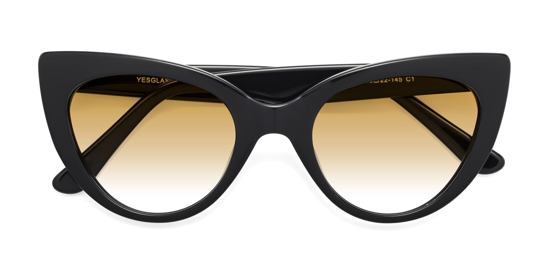 Folded Front of Tiesi in Black with Champagne Gradient Lenses