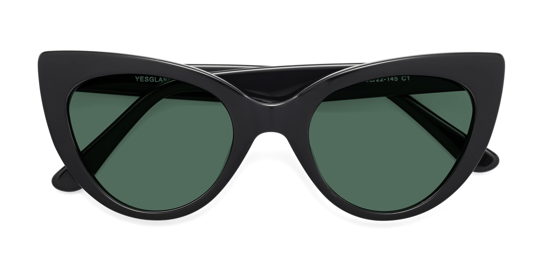 Folded Front of Tiesi in Black with Green Polarized Lenses