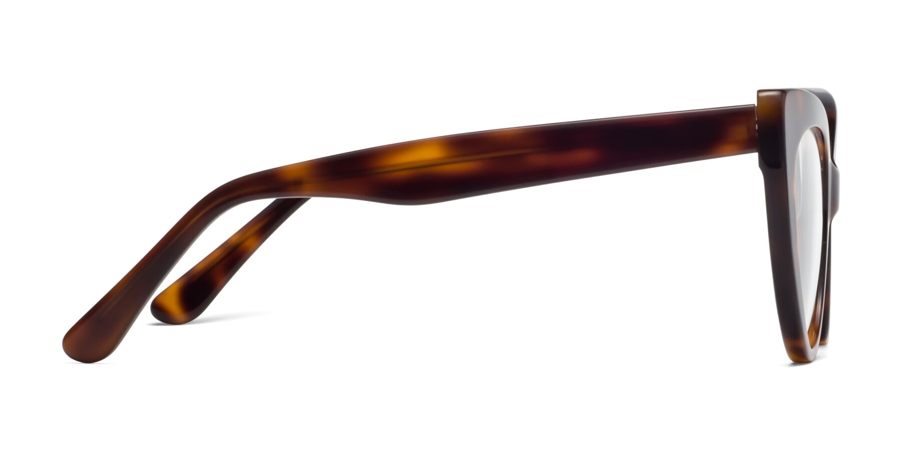 Side of Tiesi in Tortoise with Clear Eyeglass Lenses
