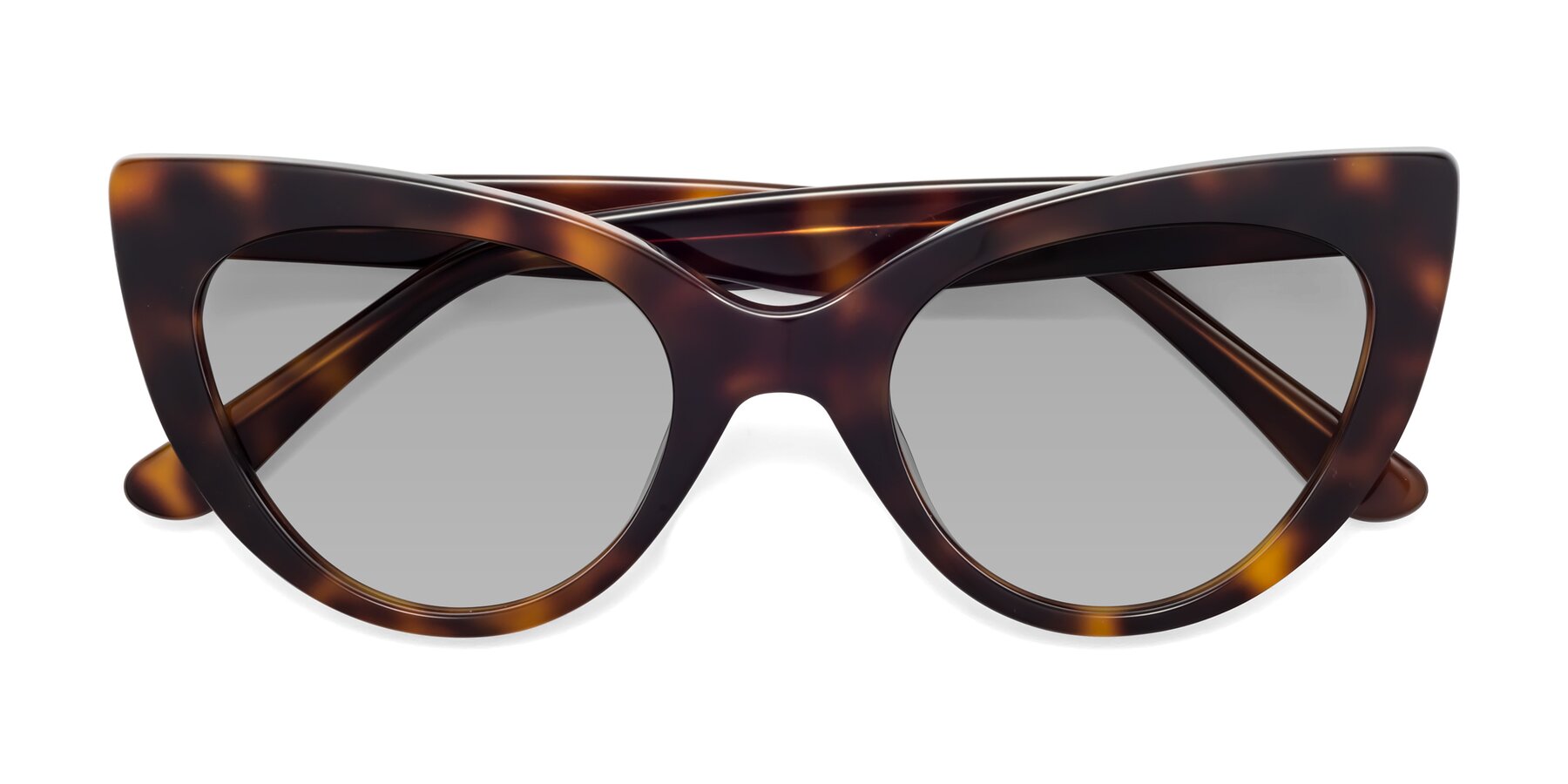 Folded Front of Tiesi in Tortoise with Light Gray Tinted Lenses