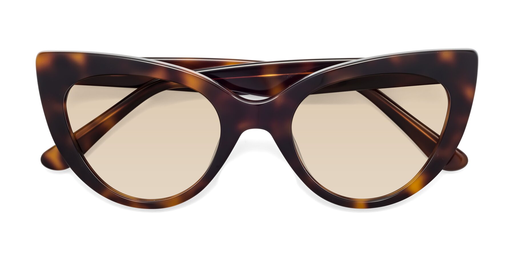 Folded Front of Tiesi in Tortoise with Light Brown Tinted Lenses