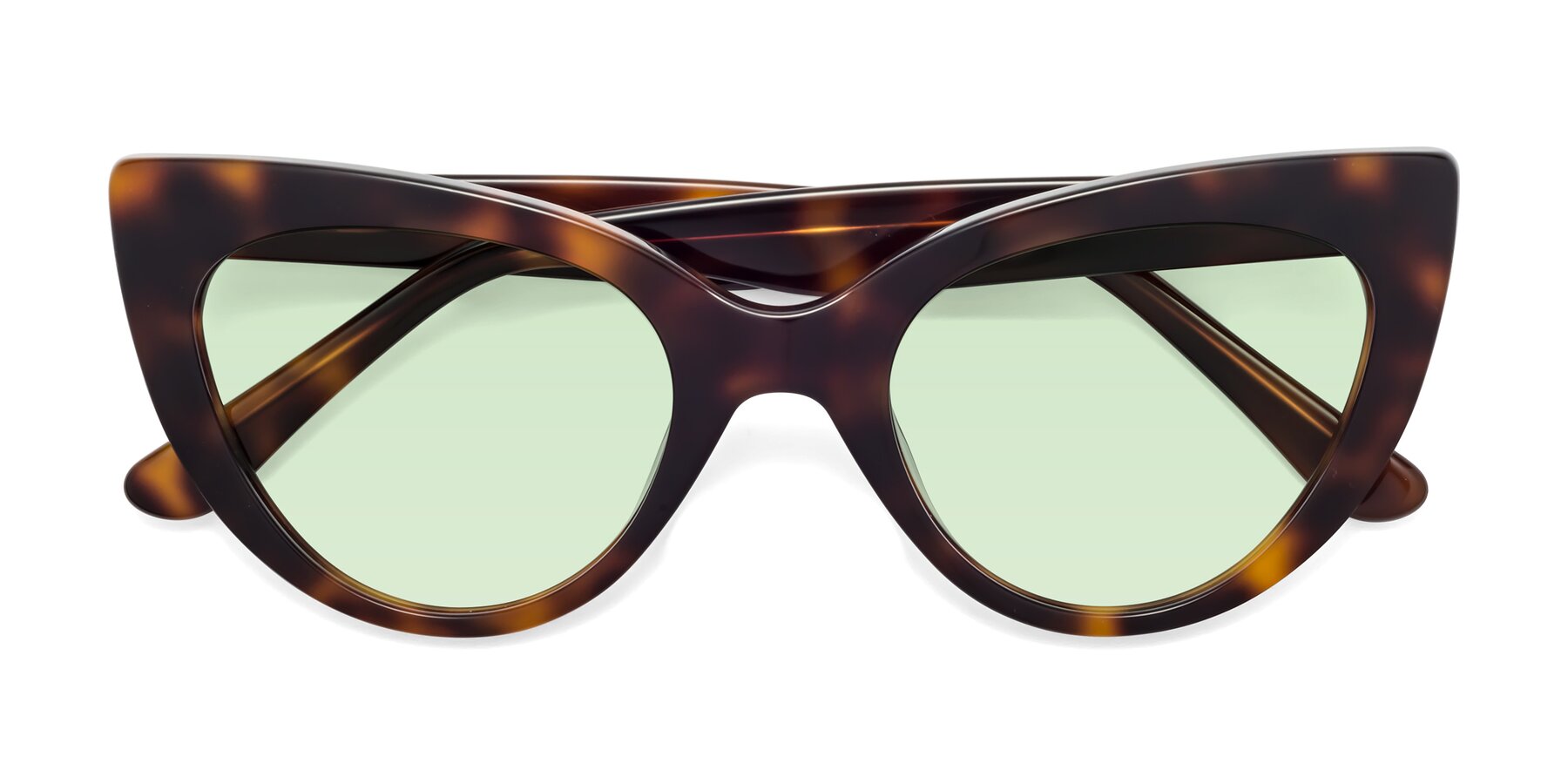 Folded Front of Tiesi in Tortoise with Light Green Tinted Lenses