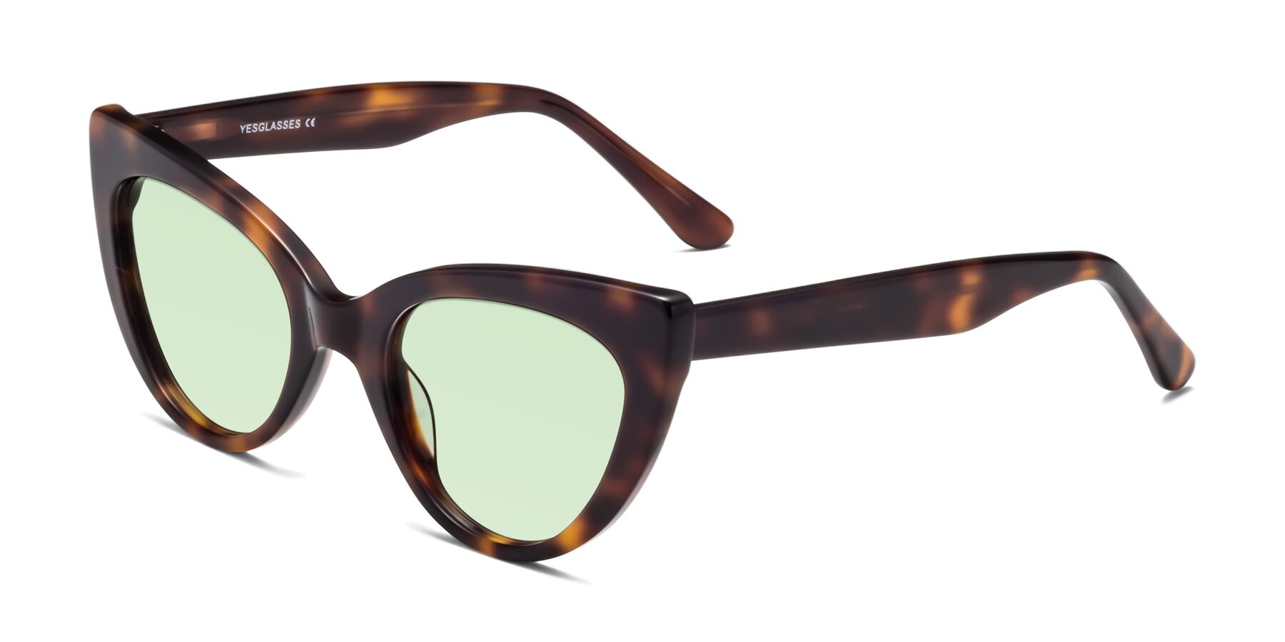 Angle of Tiesi in Tortoise with Light Green Tinted Lenses