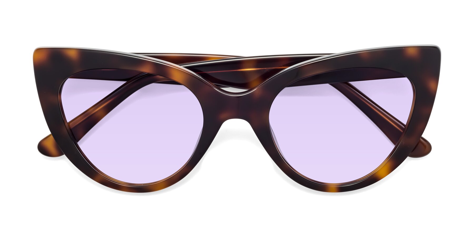 Folded Front of Tiesi in Tortoise with Light Purple Tinted Lenses