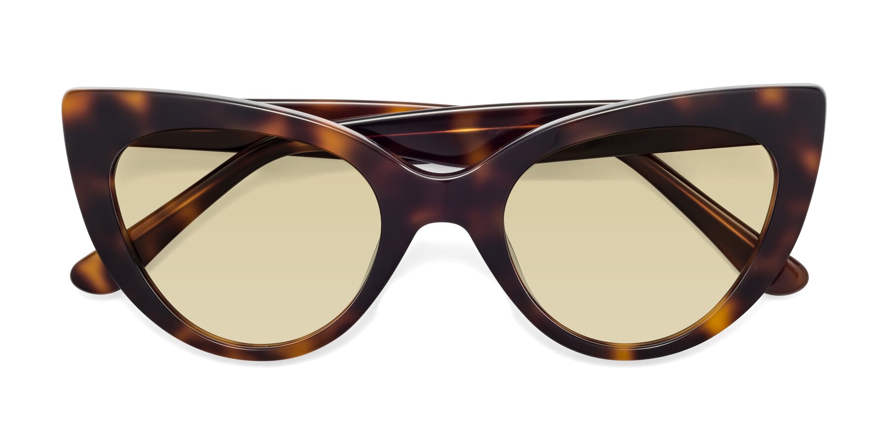 Folded Front of Tiesi in Tortoise with Light Champagne Tinted Lenses